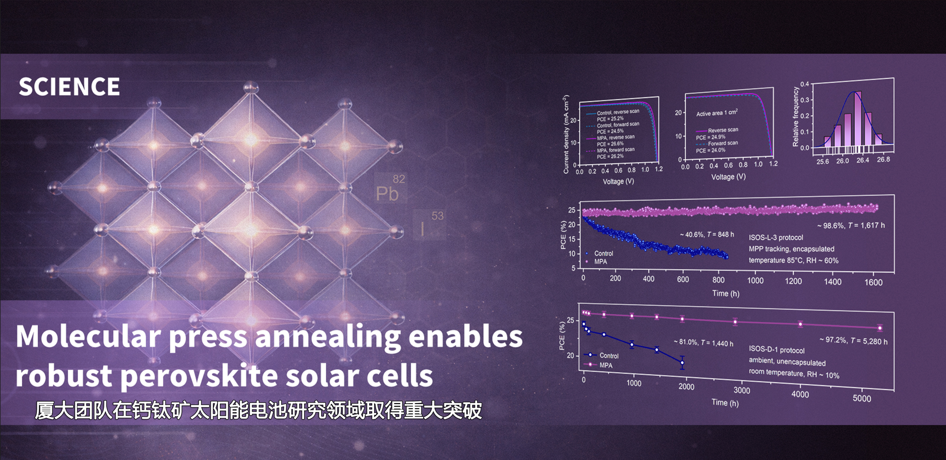 必一运动bsport体育